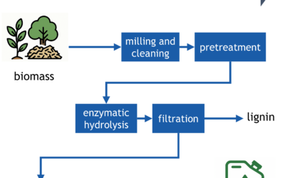 Global Study Reveals Why Cellulosic Ethanol Stalled and Where It Is Finally Gaining Momentum